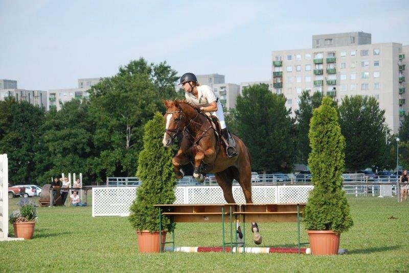 Király Klaudia és Déva King Gold Bonita
